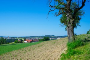 Schöne Aussicht (pp)