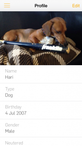 Overview of your pet in the app.