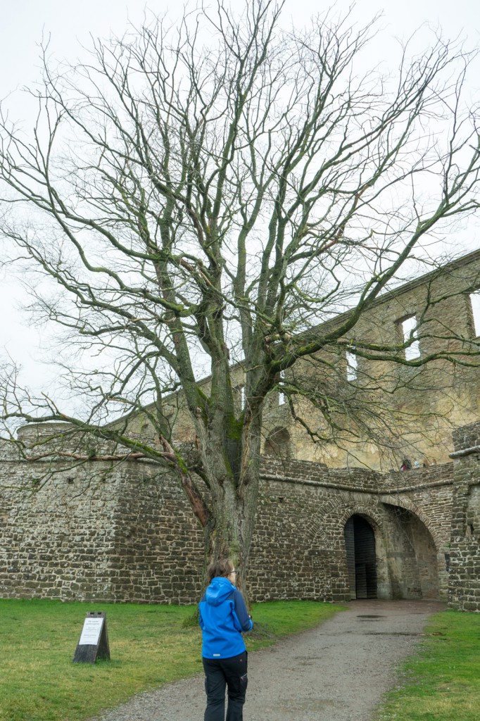 Schloss Borgholm (pp)