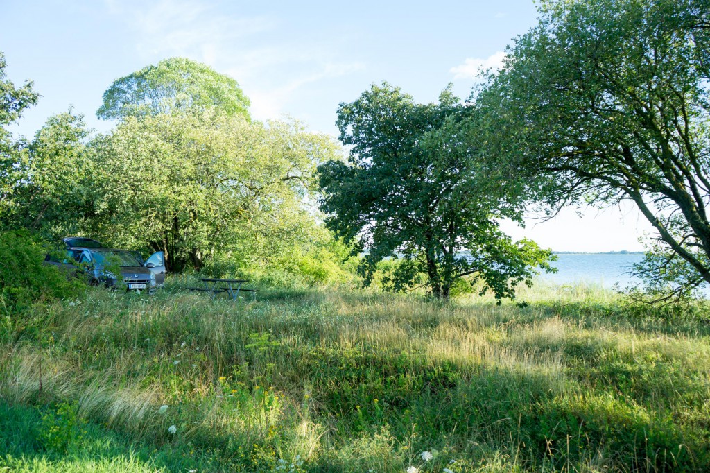 Öland am Morgen (pp)