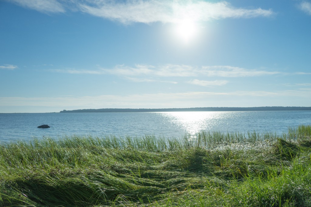 Öland am Morgen (pp)