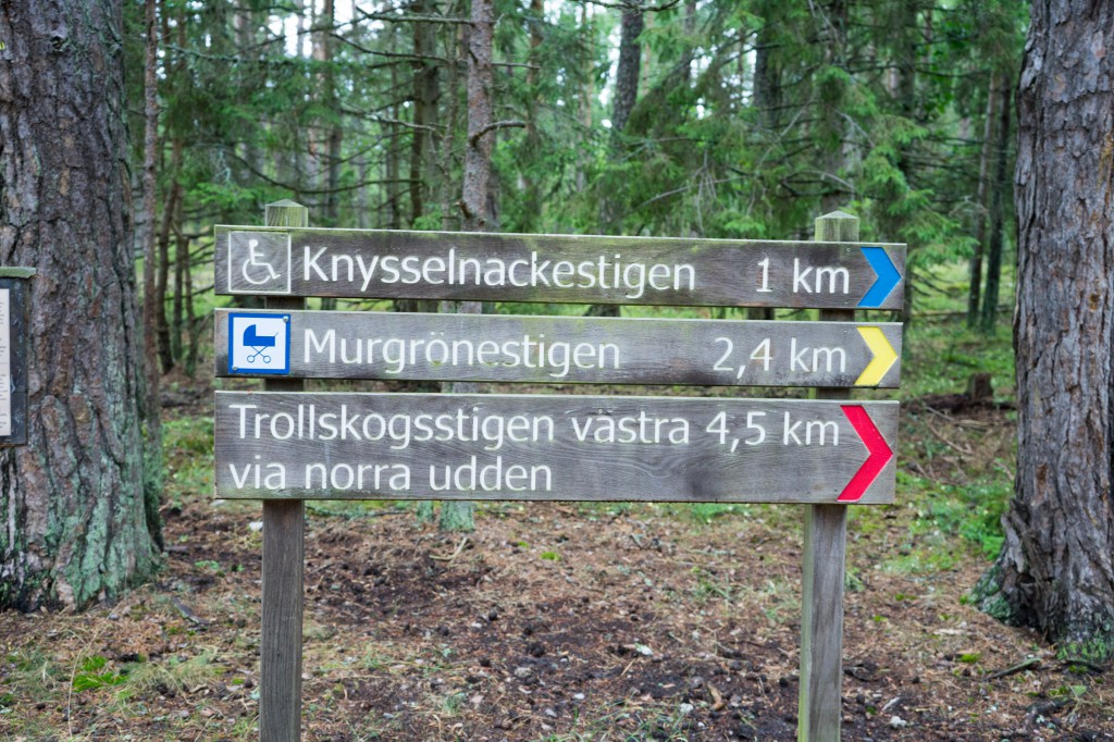 Wandern im Trollwald (vh)