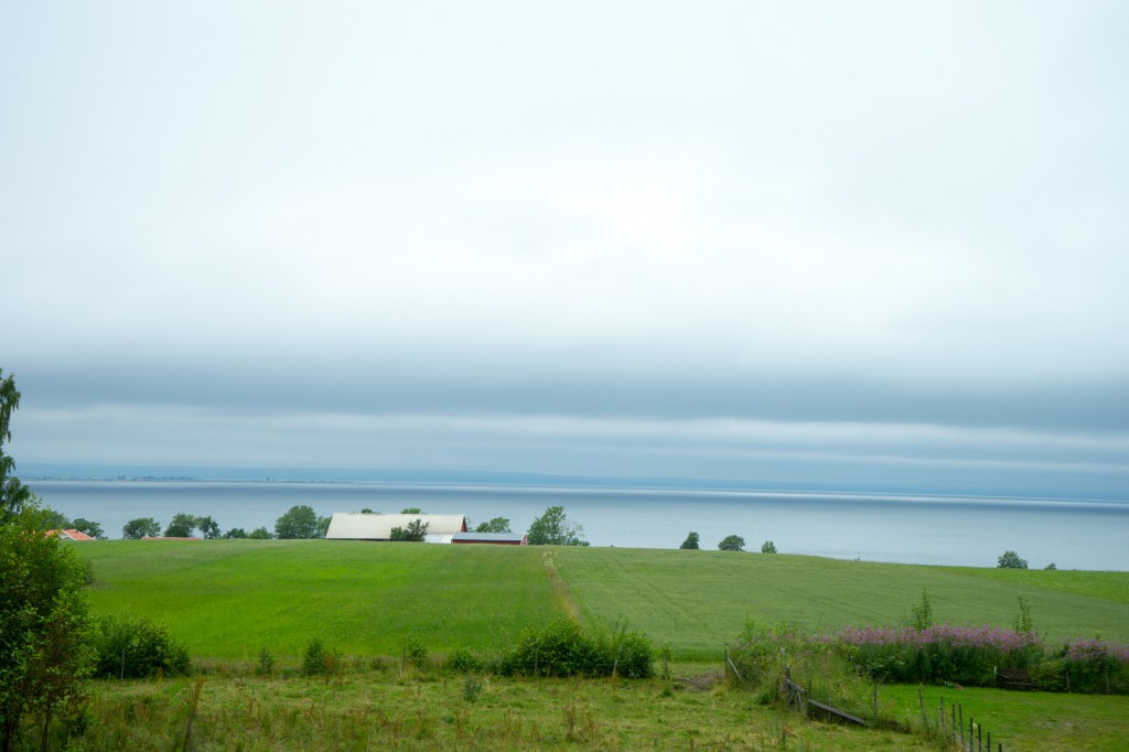 Schöne Landschaft (vh/pp)