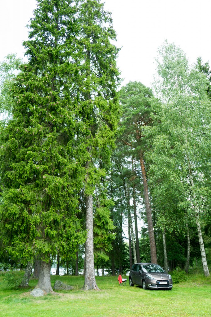 Am Campingplatz in Farstanäs (pp)