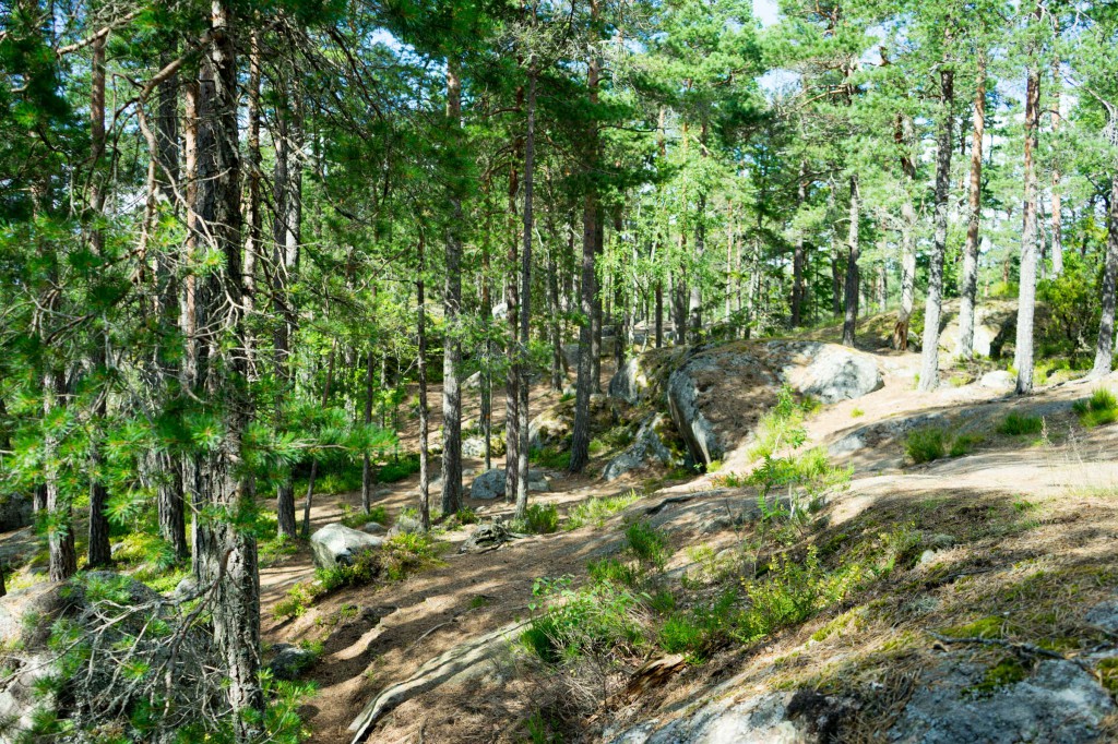 Wanderung im Nationalpark Tiveden (vh/pp)