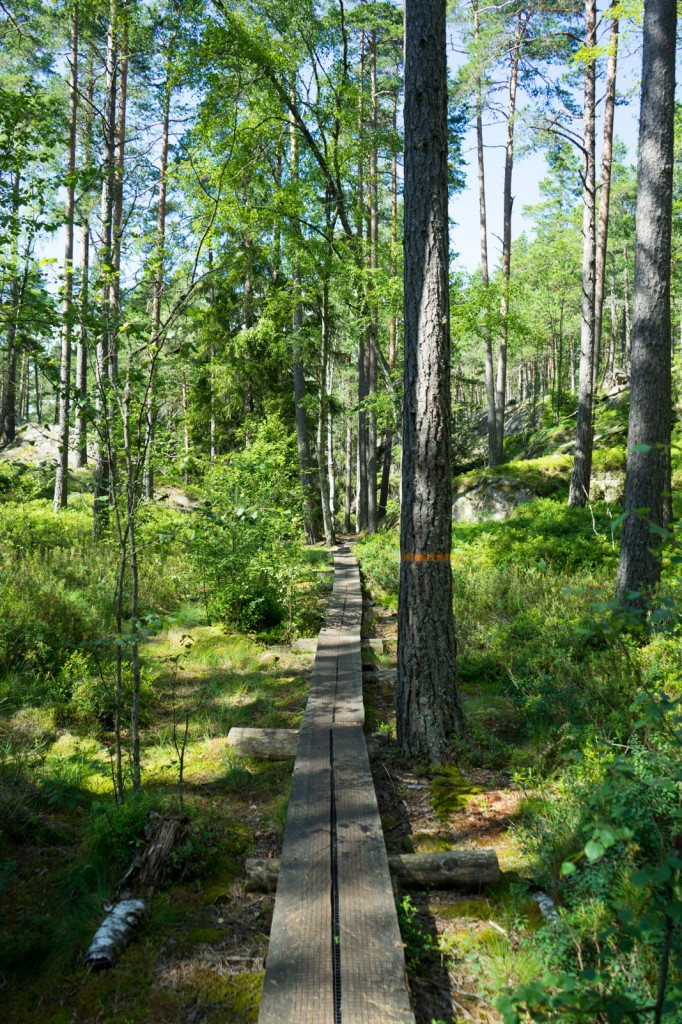 Wanderung im Nationalpark Tiveden (vh/pp)