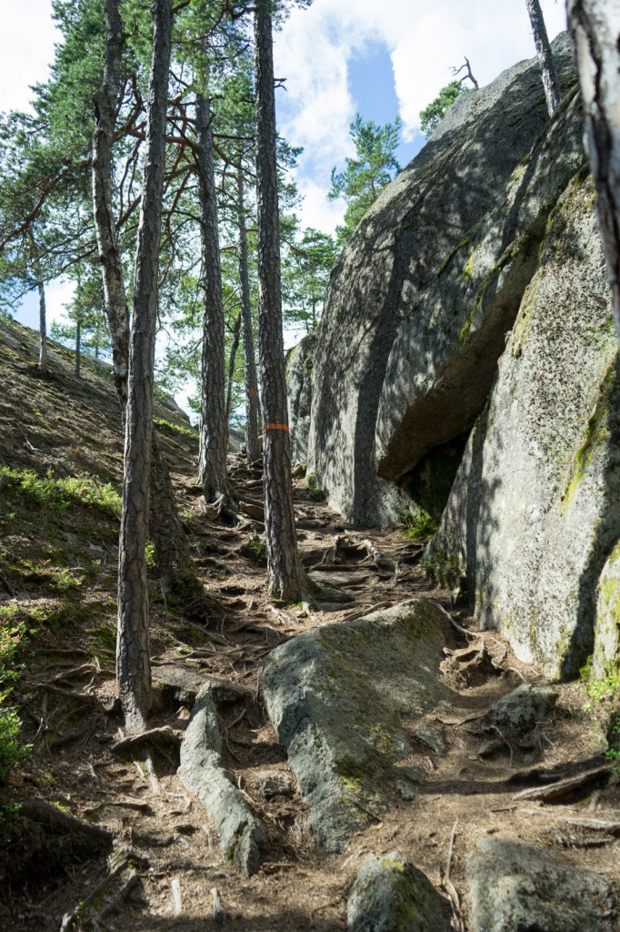 Wanderung im Nationalpark Tiveden (vh/pp)