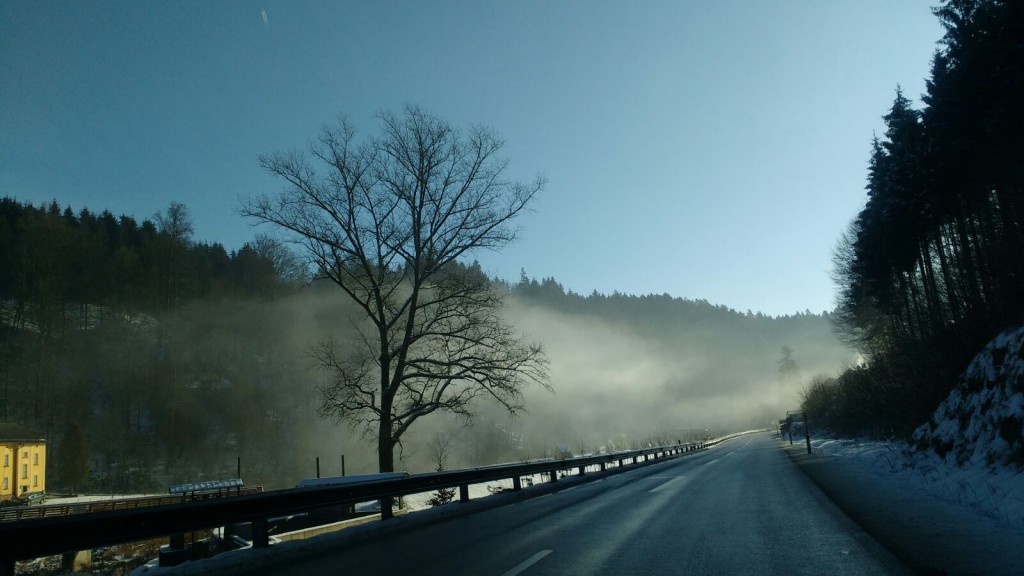 Picture 4: Free road, tree, fog.