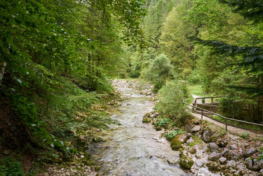 Nothklamm in Gams