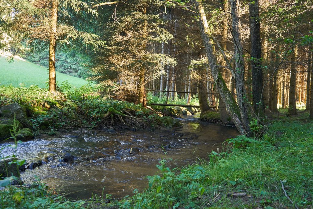 Die Natur am 10-Mühlenwanderweg.