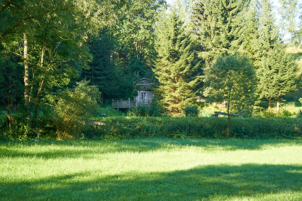 Die Natur am 10-Mühlenwanderweg.