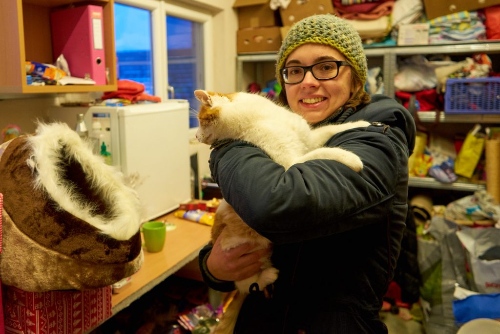 Eine der lieben Katzen im Tierheim begutachtet die Kuschelhöhle.