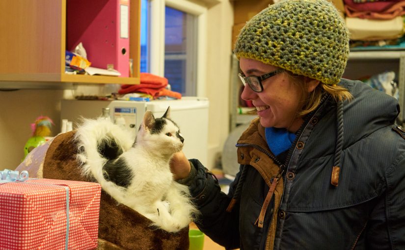 Besuch im Tierheim Freistadt (Weihnachtsaktion)