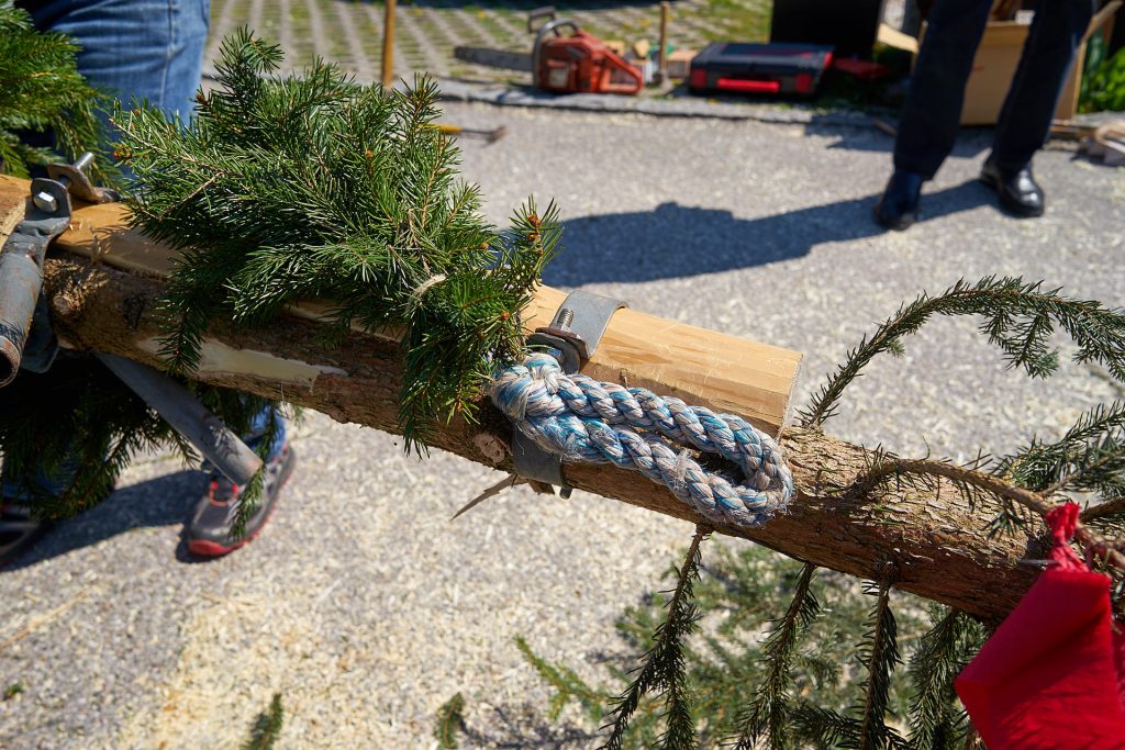 The garland is fixed on the tree.