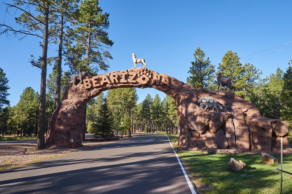 Das Tor zu Bearizona - ein Wildtierpark in Arizona!