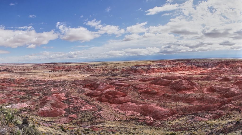 Petrified Forest Nationalpark.