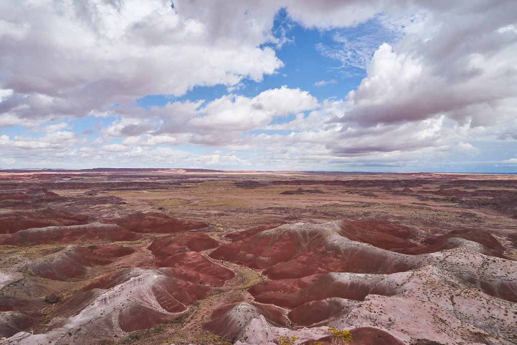 Petrified Forest Nationalpark.