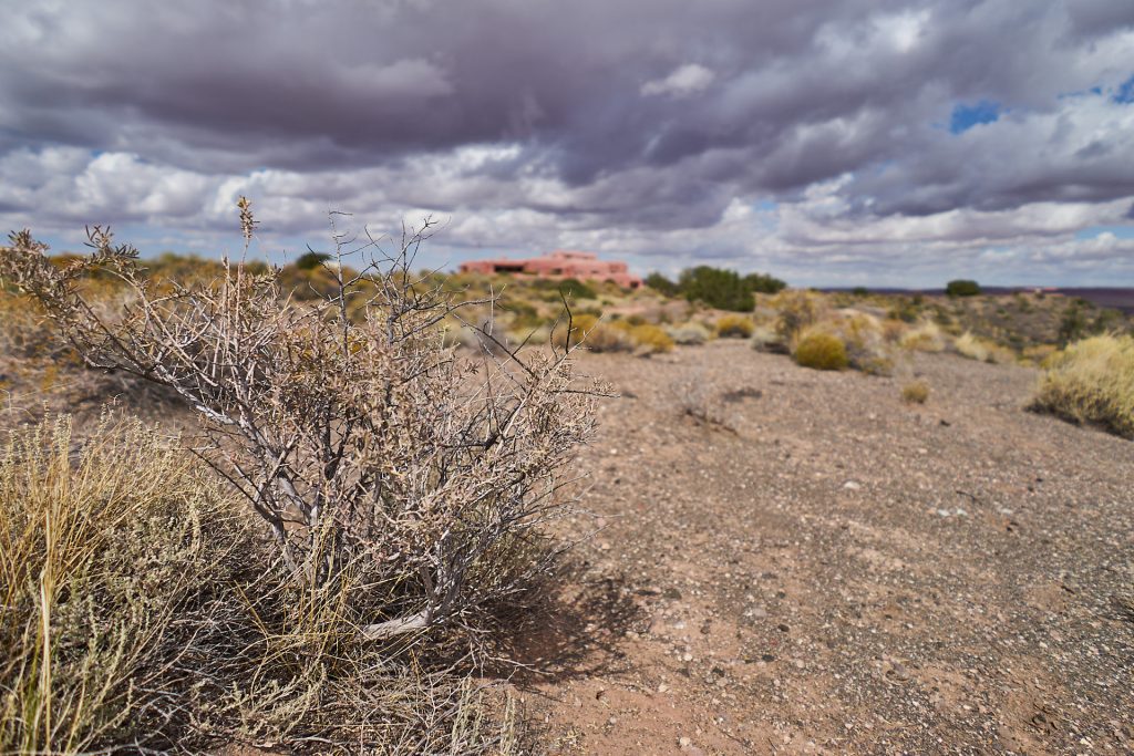 Petrified Forest Nationalpark.