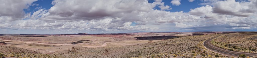 Petrified Forest Nationalpark.