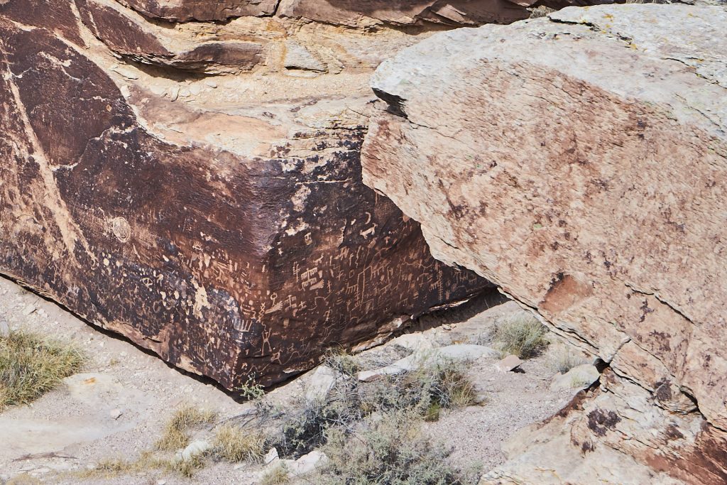 Petrified Forest Nationalpark.