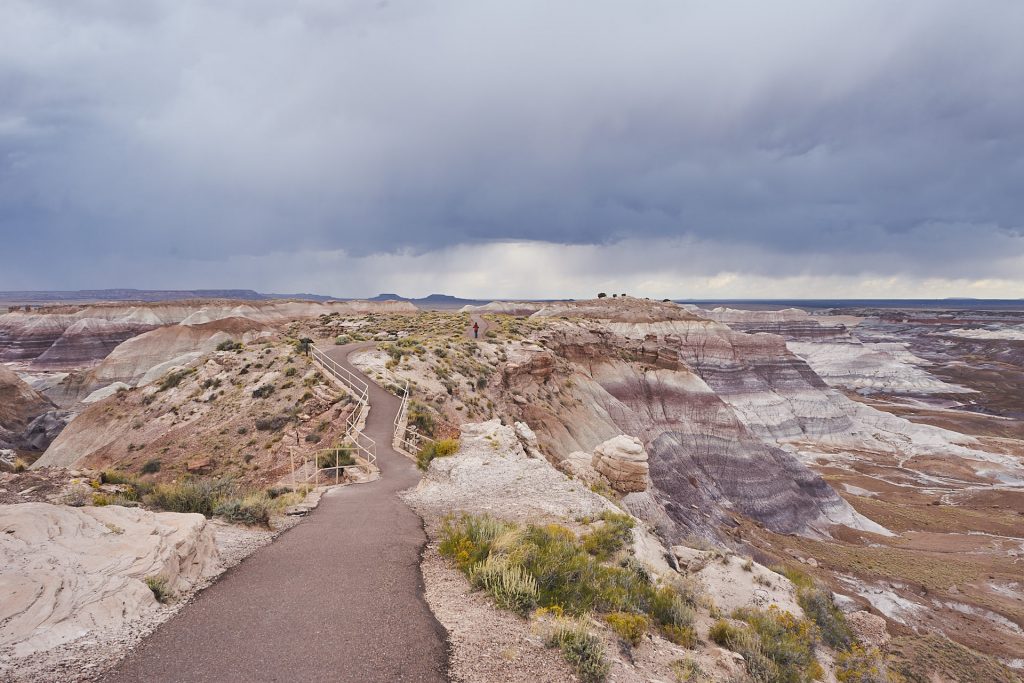 Petrified Forest Nationalpark.