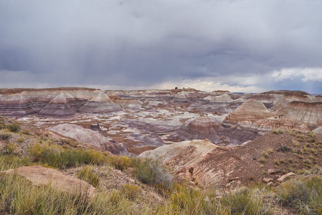 Petrified Forest Nationalpark.