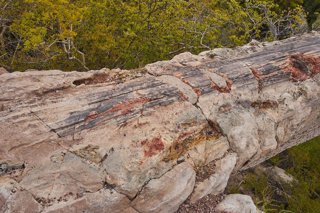 Petrified Forest Nationalpark.