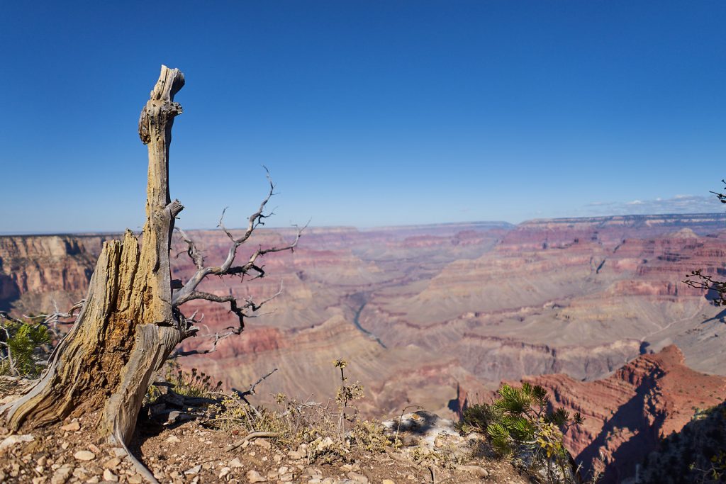 Ausblick in den Grand Canyon