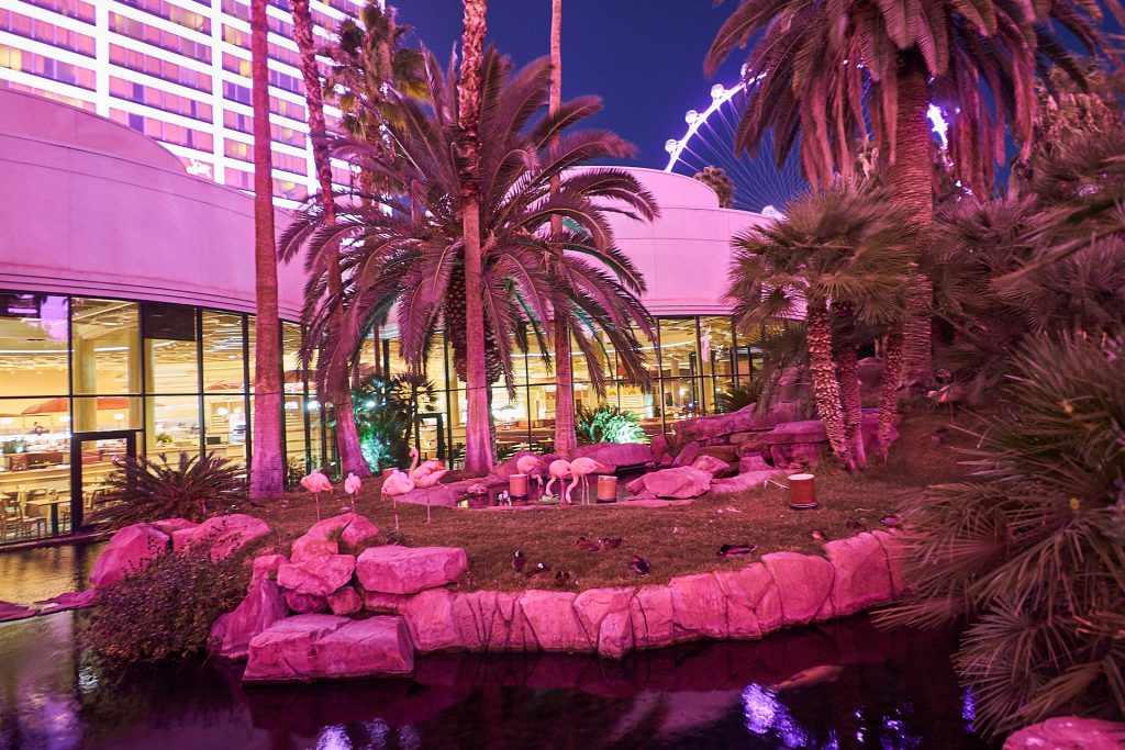 Flamingo-"Park" beim Hotel Flamingo.