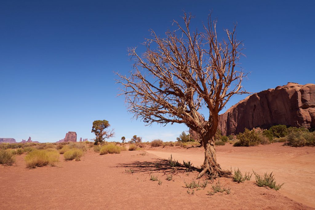 Monument Valley