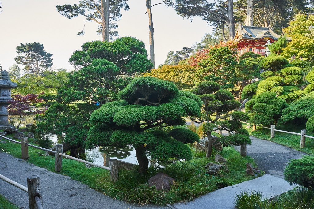 Der Japanische Teegarten im Golden Gate Park | San Francisco Reisebericht