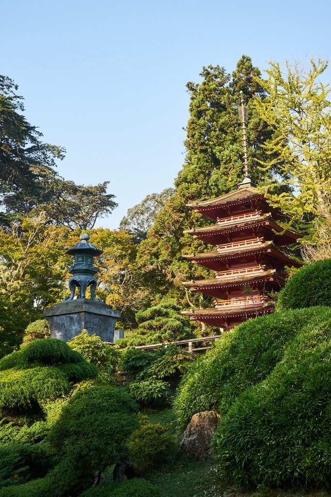 Der Japanische Teegarten im Golden Gate Park | San Francisco Reisebericht